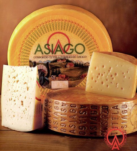 formaggio asiago dop