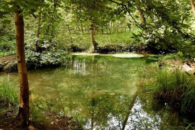 fiume Sile