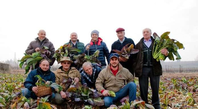 Broccoletto di Custoza: quel gusto veronese diventato presidio Slow Food broccoletto di custoza