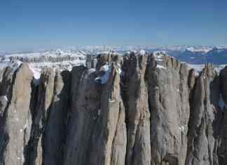 marmolada