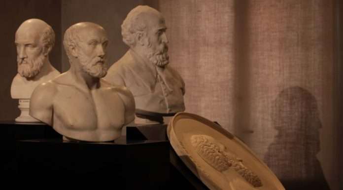 Il CISA Palladio compie 60 anni e vi fa un regalo “meraviglioso”: il Palladio Day palladio day