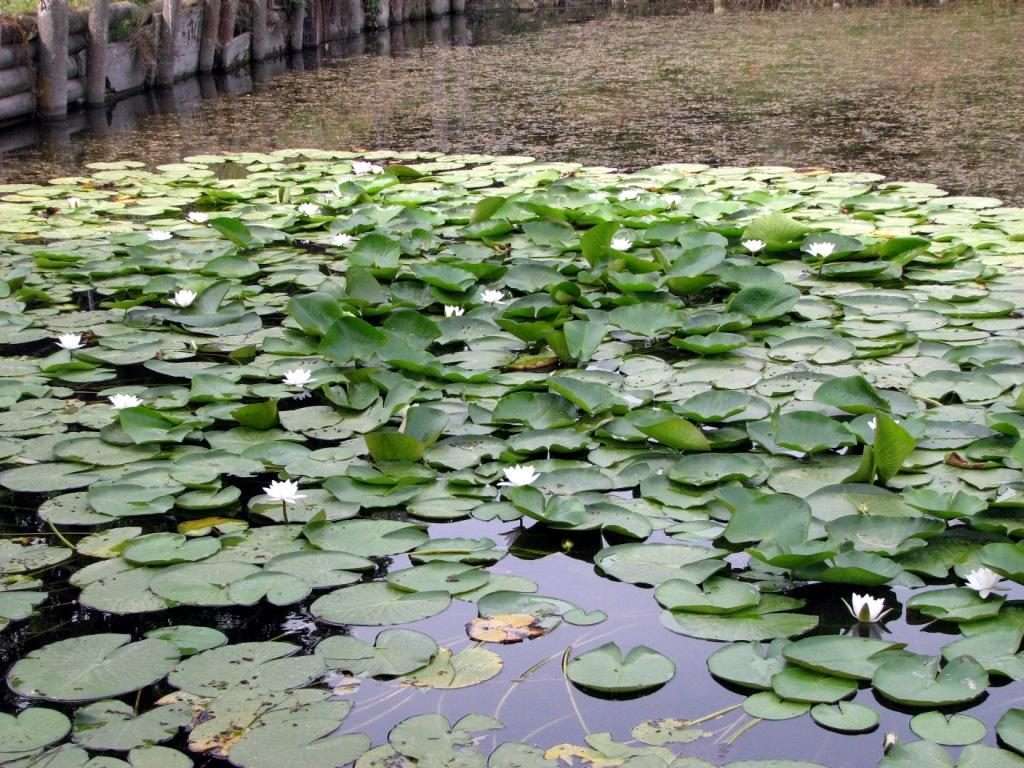 Parco del Delta del Po