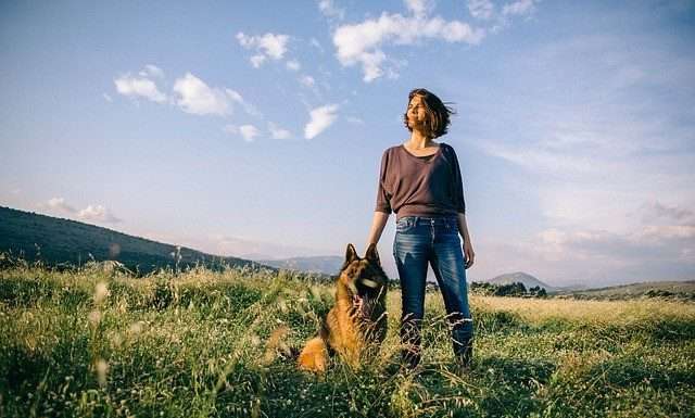 I 4 parassiti che il tuo cane non vorrebbe mai incontrare parassiti