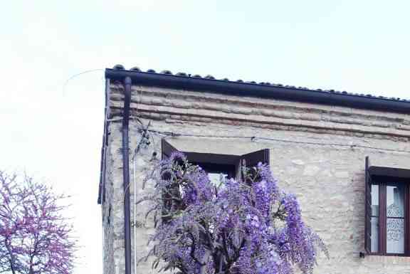 primavera ad Arquà Petrarca