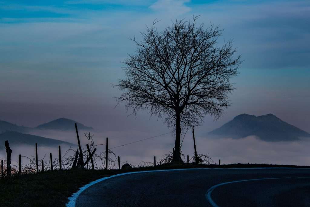 Colli Euganei Simone Sartori sgaialand magazine scatto delle meraviglie