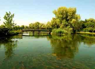 Greenway del Sile: dalle sorgenti alla Laguna, a piedi o in bici greenway del sile