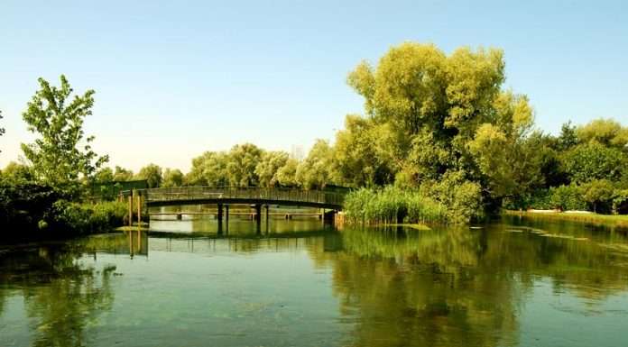 Greenway del Sile: dalle sorgenti alla Laguna, a piedi o in bici greenway del sile