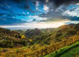 Colline di Conegliano Valdobbiadene