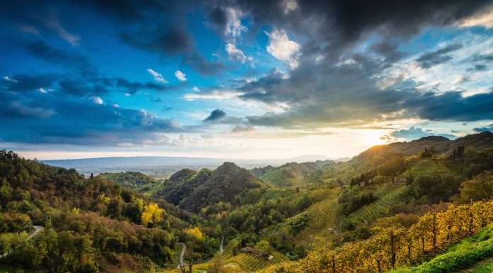 Colline di Conegliano Valdobbiadene: tutti i motivi per diventare patrimonio Unesco Colline di Conegliano Valdobbiadene