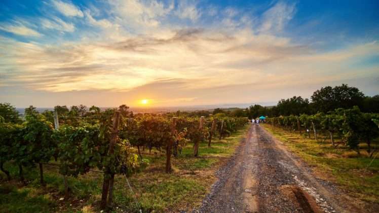 tenuta cicogna