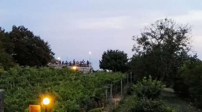 L’Osmiza tra frasche, vino e salumi sul Carso osmiza trieste italia croazia friuli venezia giulia veneto venezie sgaialand magazine eleonora garzia food blogger
