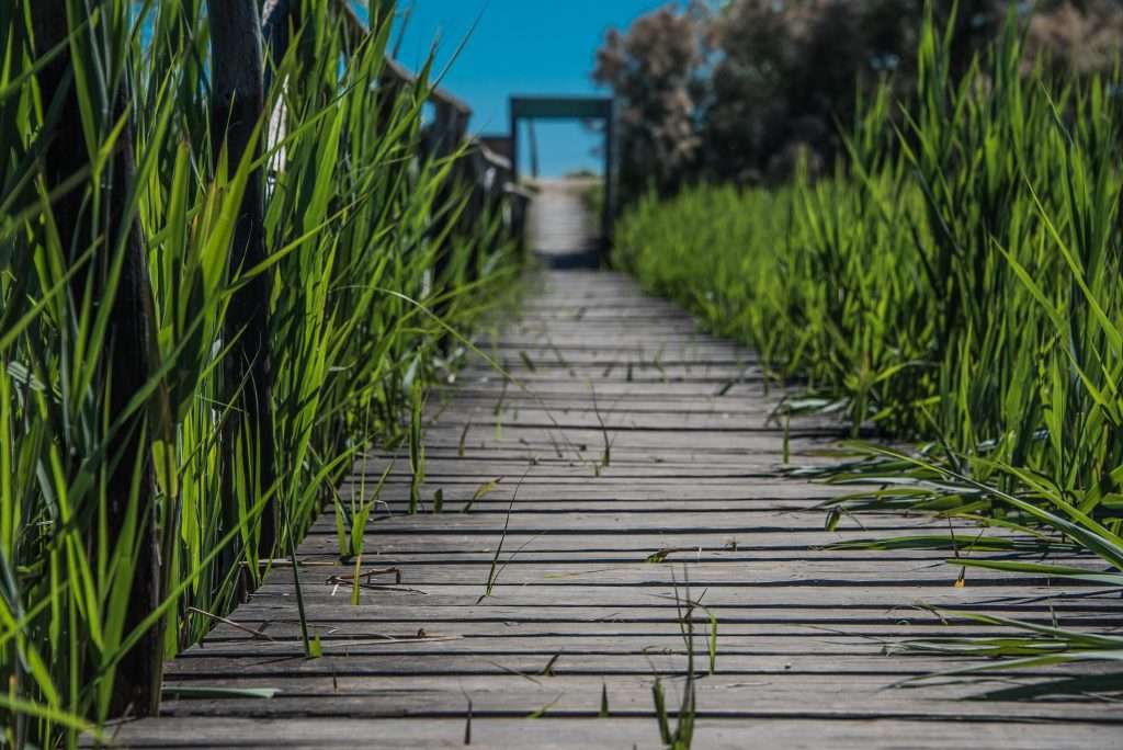 Caorle Simone Sartori sgaialand magazine lo scatto delle meraviglie