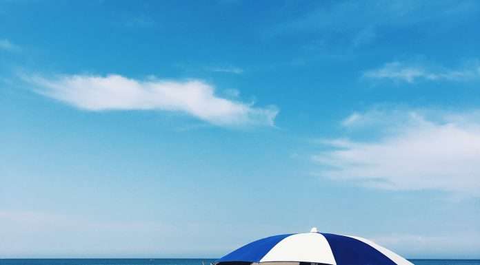 #loscattodellemeraviglie: in riva al mare ad Albarella albarella sgaialand magazine francesca fornasini
