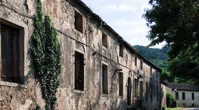 #loscattodellemeraviglie nel più bel giardino d’Europa, a Valsanzibio valsanzibio villa barbarigo sgaialand magazine scatto delle meraviglie francesca fornasini
