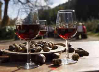 Festa della Castagna di Lana: si celebra l’autunno tra tradizione e gusto festa della castagna di lana merano eventi food merano sgaialand magazine alto adige cibo tradizione