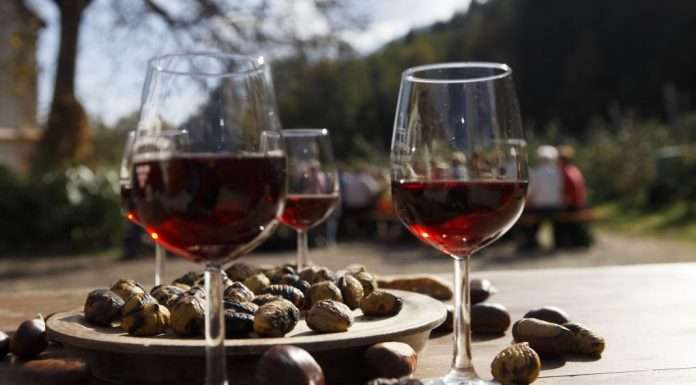 Festa della Castagna di Lana: si celebra l’autunno tra tradizione e gusto festa della castagna di lana merano eventi food merano sgaialand magazine alto adige cibo tradizione