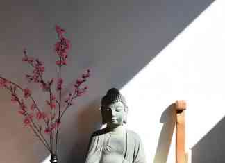 OraZen: a Padova il primo tempio Zen del Nordest orazen tempio zen padova magazine veneto