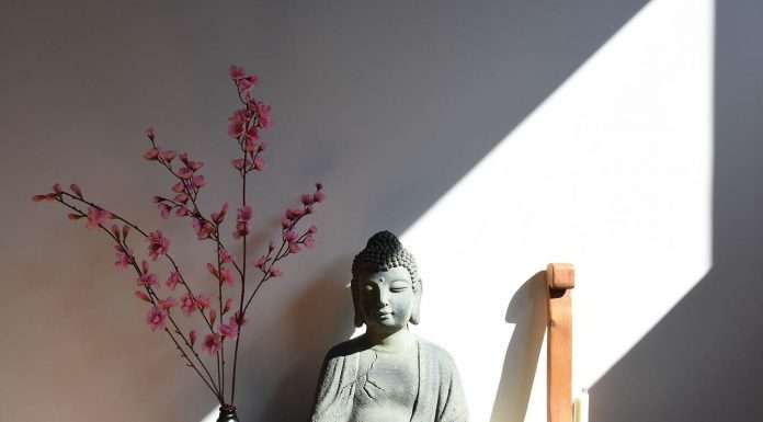 OraZen: a Padova il primo tempio Zen del Nordest orazen tempio zen padova magazine veneto
