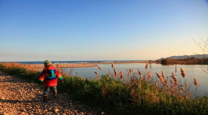 Cosa fare con i bambini nel weekend in Veneto: 5 idee tra natura, avventura e scoperta 5 cose da fare il weekend con i bambini sgaialand magazine veneto triveneto camilla tartaria