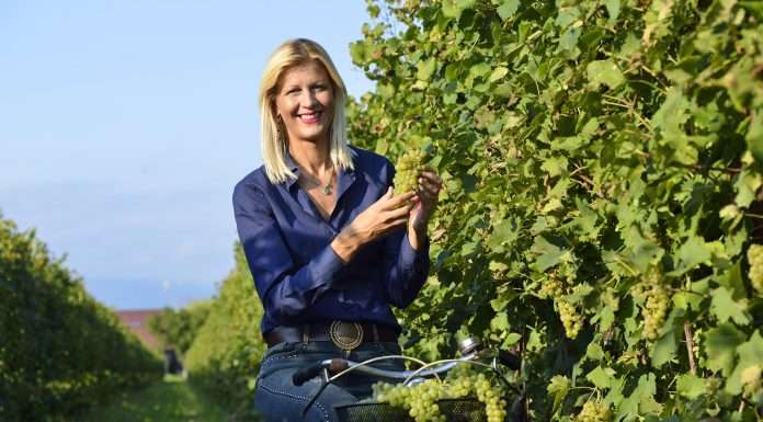 iris vigneti sgaialand magazine veneto isabella spagnolo vino alcool free spumante bella