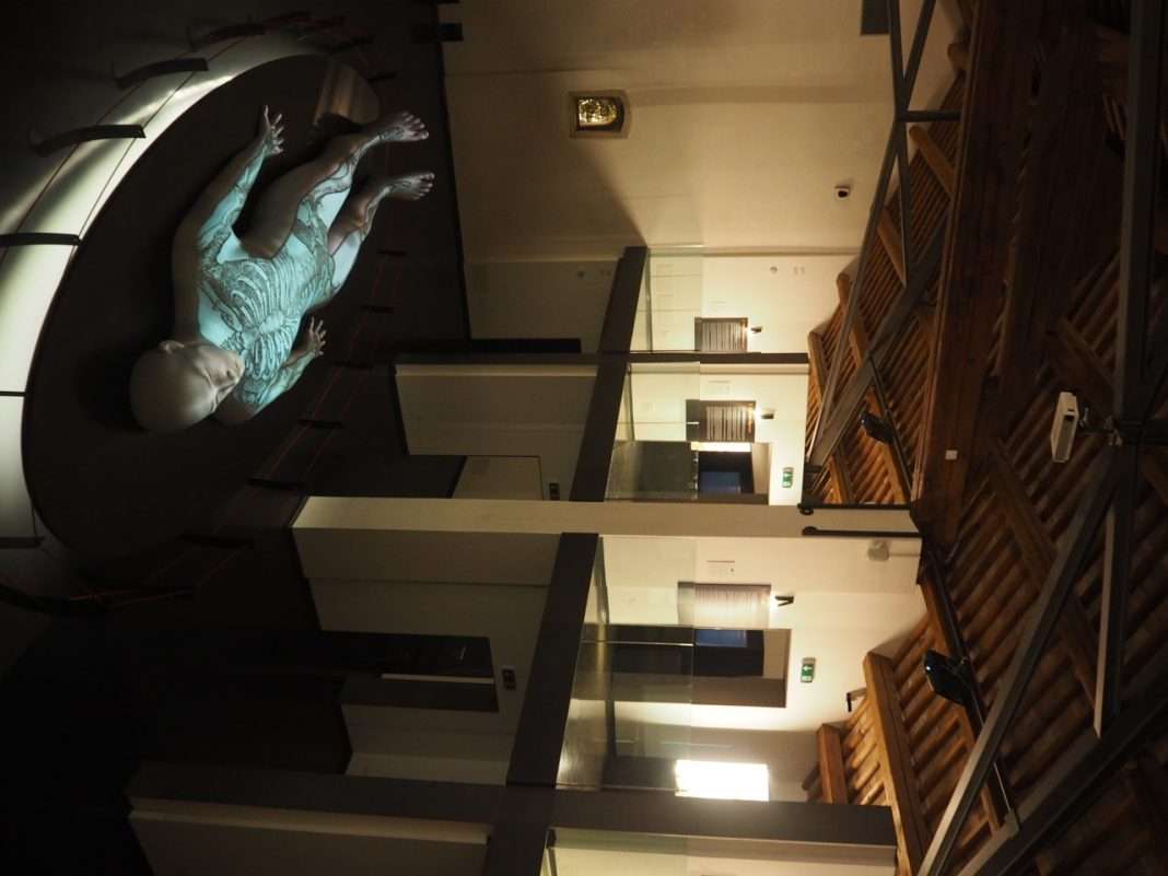 musme padova museo della medicina musme padova museo della medicina