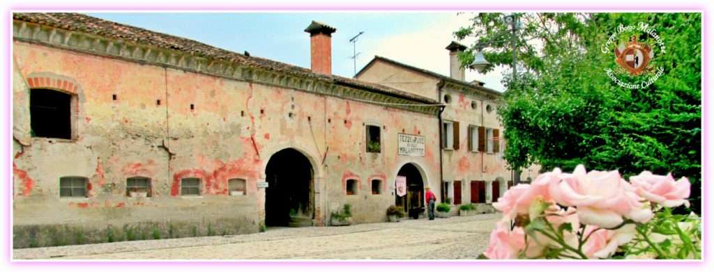 raboso vino sgaialand magazine wine giulia spagnol enologia vini veneti triveneto vino rosso