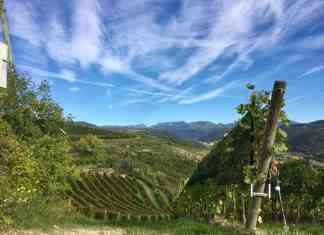 Una domenica in Valpolicella, tra vigne e bellezza – Lo Scatto delle Meraviglie tregnago valpolicella giulia spagnol fotografia lo scatto delle meraviglie sgaialand magazine wine veneto