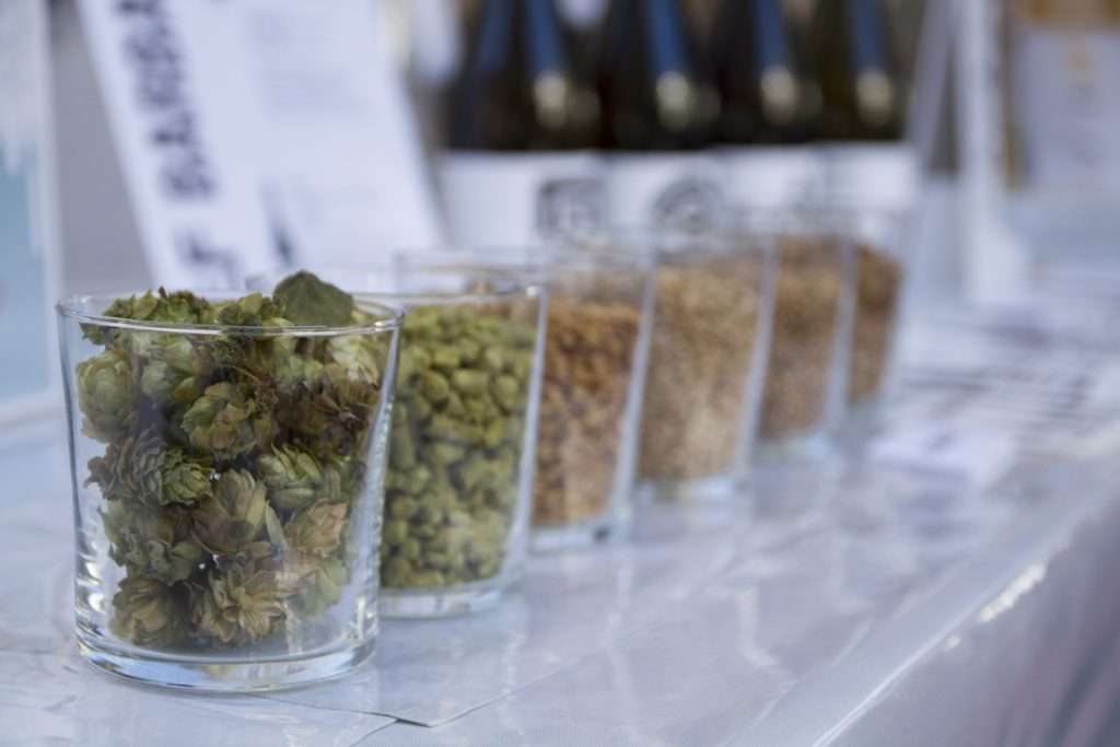 merano winefestival 2017 sgaialand magazine alto adige bolzano eventi 2017