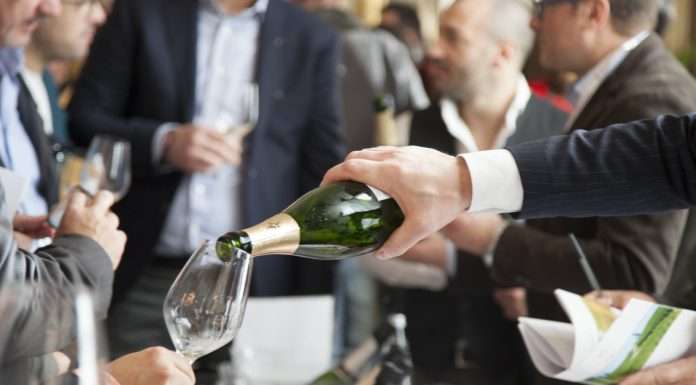 Merano WineFestival, la “riserva di caccia” al miglior vino e prodotto gastronomico merano winefestival 2017 sgaialand magazine alto adige bolzano eventi 2017