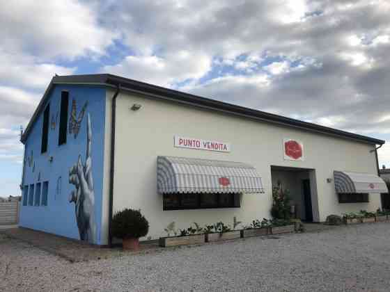 forno zogno