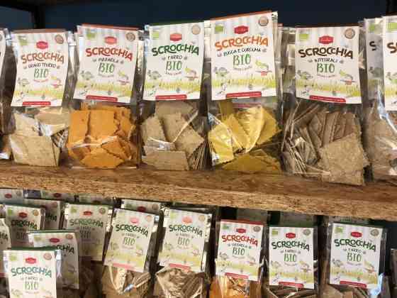 forno zogno