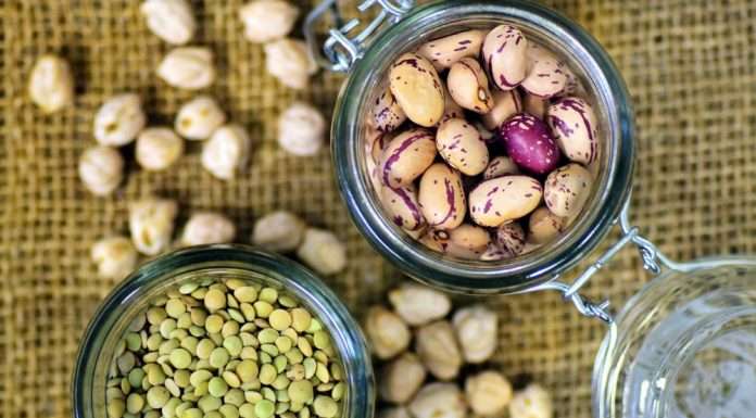 slow beans mel belluno magazine sgaialand slow food eventi cibo la terra delle meraviglie