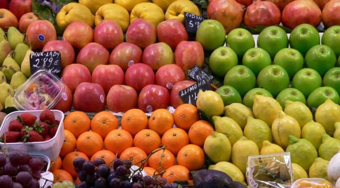 Fruit & Veg Innovation: a Verona le tecnologie innovative per la coltivazione fruit & veg innovation verona fiere fiera eventi 2018 sgaialand magazine