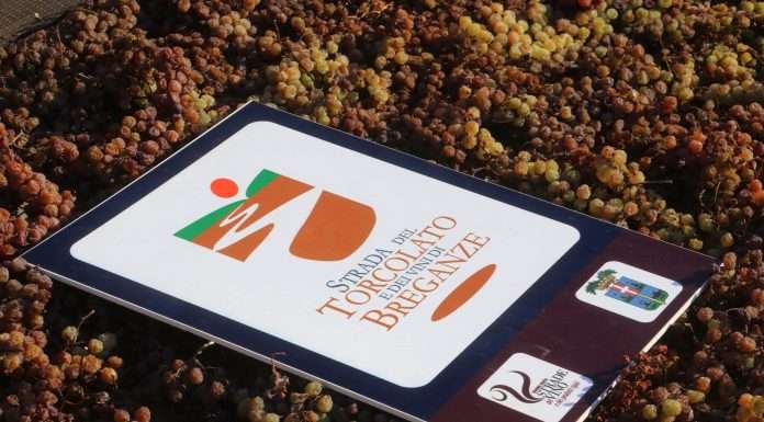 Prima del Torcolato 2018, grande festa per la spremitura tra visite e degustazioni prima del torcolato 2018