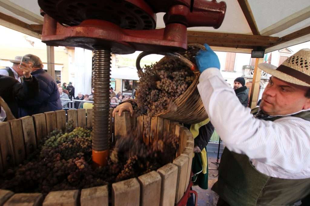 prima del torcolato 2018