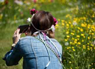Giardinity Primavera, 100.000 tulipani per dare il benvenuto alla bella stagione giardinity primavera