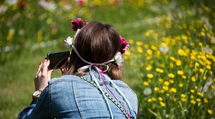 Giardinity Primavera, 100.000 tulipani per dare il benvenuto alla bella stagione giardinity primavera
