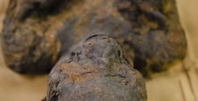 Egitto Ritrovato: a Rovigo il meglio di 500 reperti egizi, fino a luglio egitto ritrovato