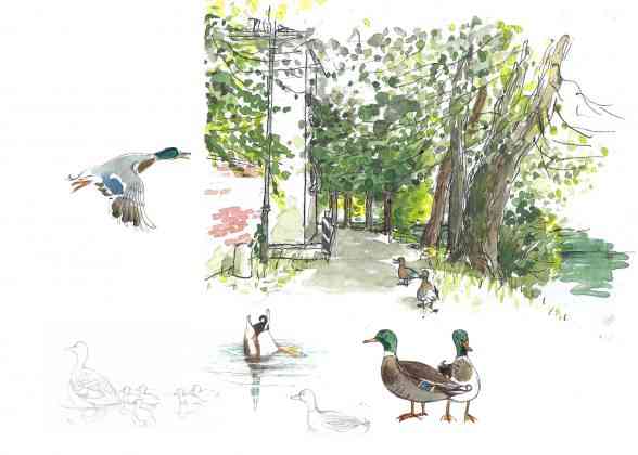 cibo a regola d'arte