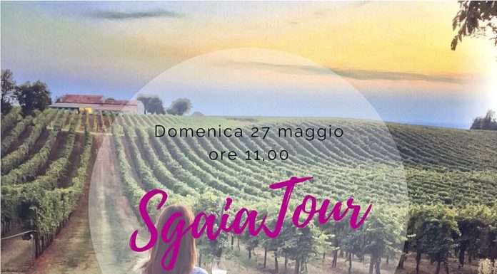 SgaiaTour in Cicogna, tra i vigneti di Cavazza Wine cavazza wine