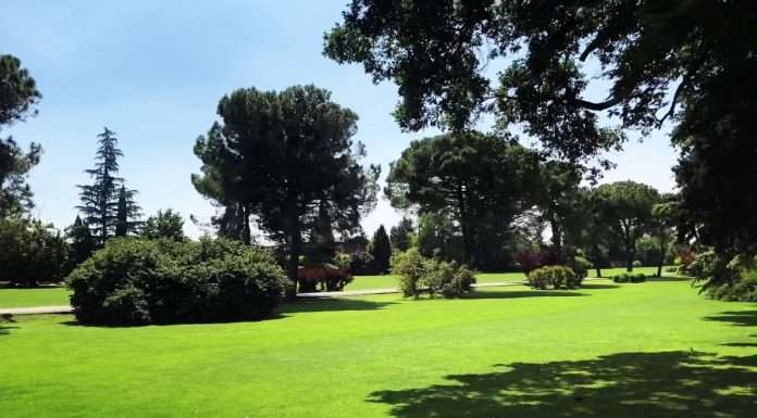 Parco Giardino Sigurtà presenta la Panchina degli Innamorati