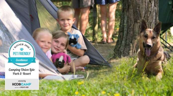 I 10 migliori Campeggi Pet Friendly: il podio è tutto veneto e vince l’Union Lido