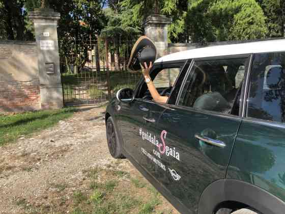 ceccato motors