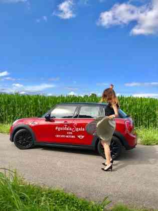 ceccato motors