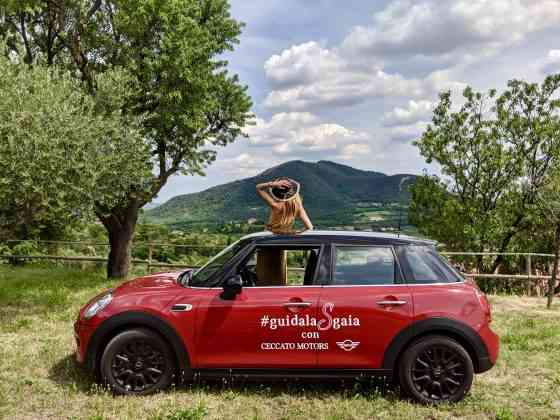 ceccato motors