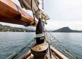 Wine Experience meravigliose: degustare i vini Garda DOC nel più antico veliero del Garda wine experience