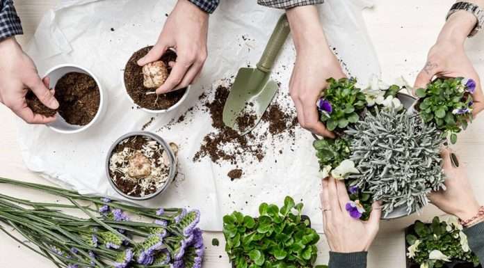 Mekello, la start up dedicata ai laboratori sul fai da te, al Premio Gaetano Marzotto mekello