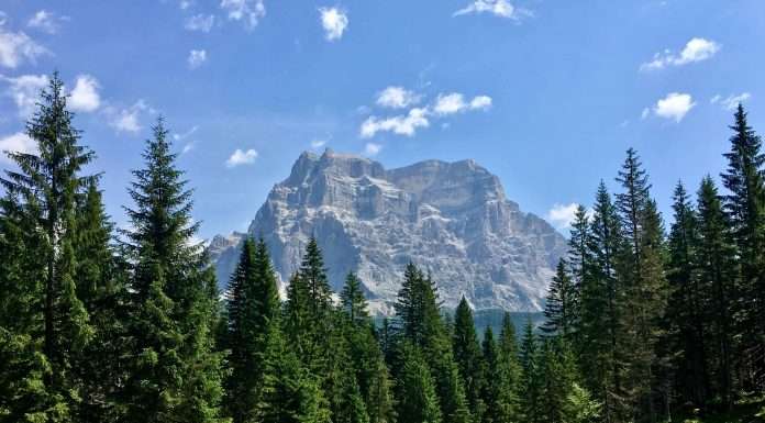 “Camminazoldo, emozionarsi in natura”e l’estate fa rima con sport e escursioni sgaissime camminazoldo