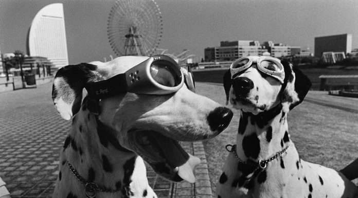 Gli eventi di settembre in Veneto da tenere d’occhio, sgaissimi naturalmente! elliott erwitt