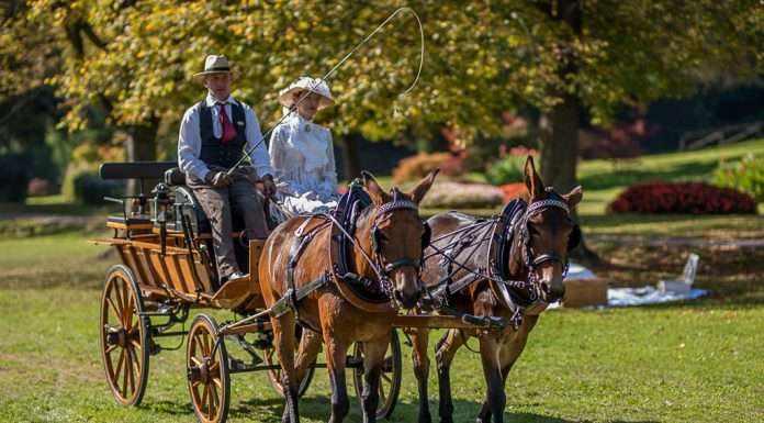 Sfilate di carrozze e balli dell’800 al Parco Giardino Sigurtà, ed è meraviglia sfilata di carrozze